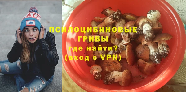 Альфа ПВП Аркадак