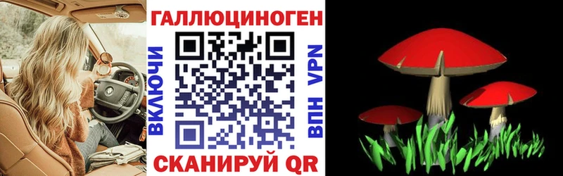 Галлюциногенные грибы прущие грибы  дарк нет как зайти  Чайковский 