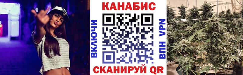 Конопля AK-47 Чайковский